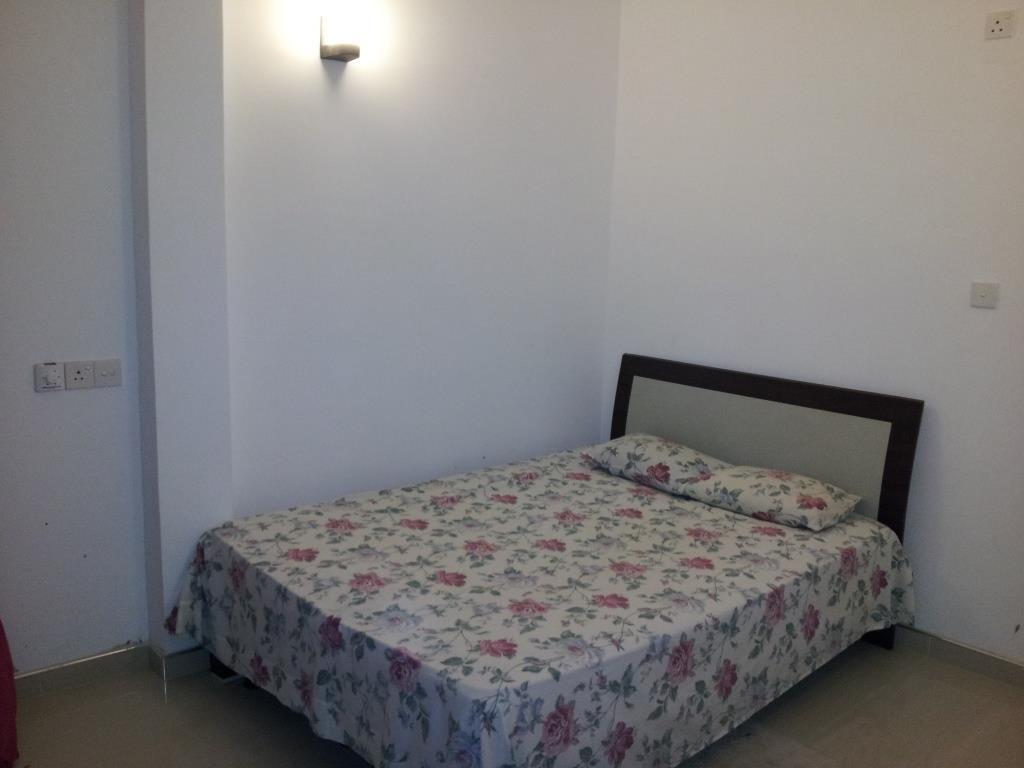 מלון ווליגאמה Hector House מראה חיצוני תמונה